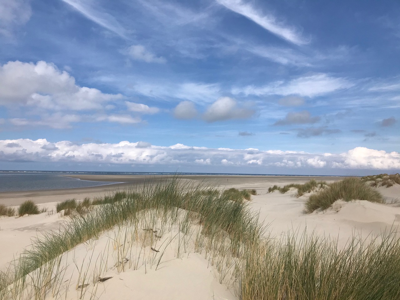 Duinen op Terschelling