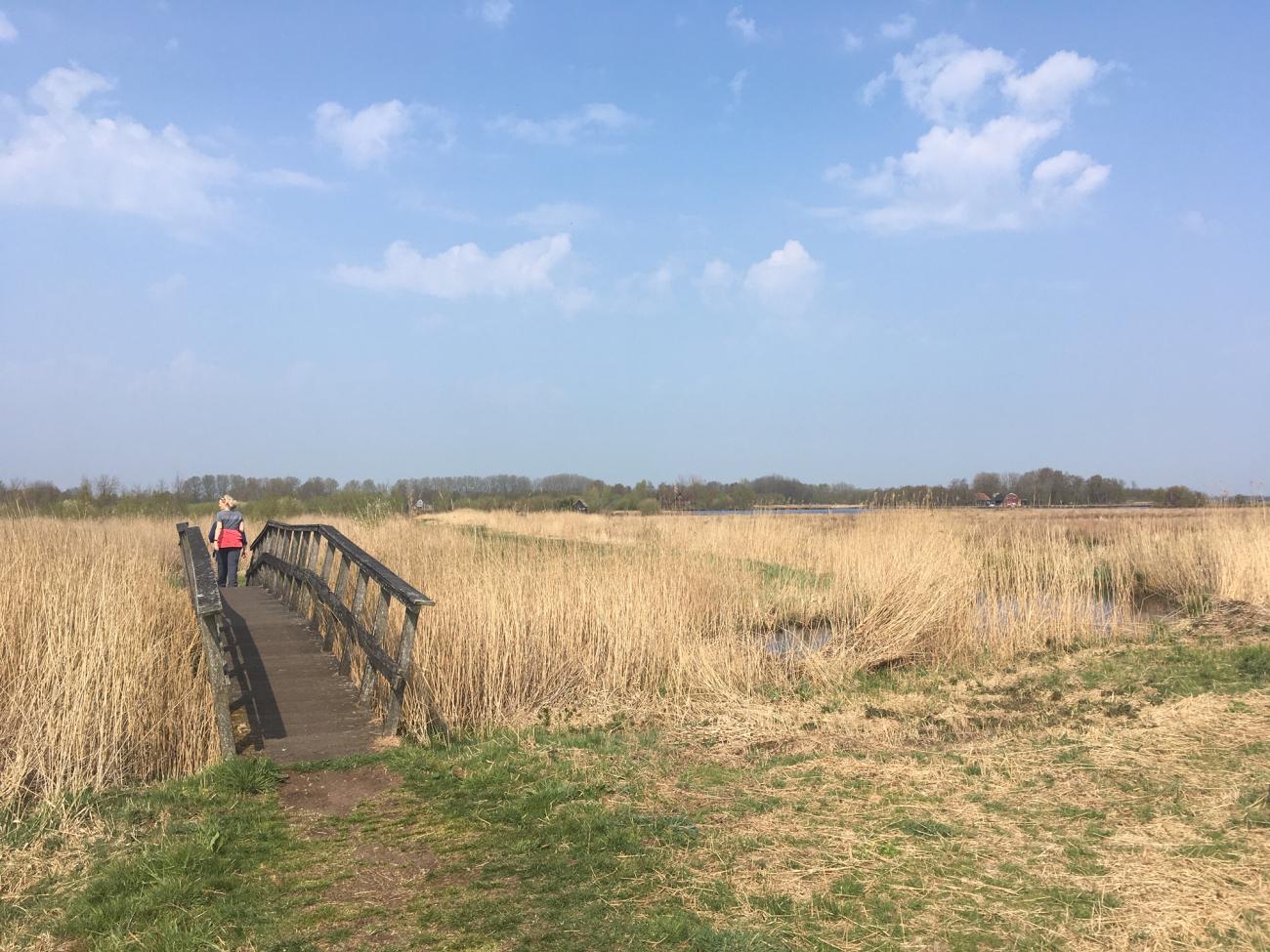 Bruggetje bij Earnewald