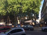 vd Helstplein
