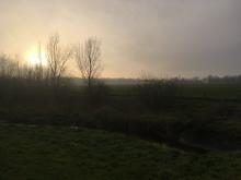 Zon